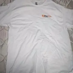 アメリカンヴィンテージ レアTシャツサイズL ホームデポプロエクストラ
