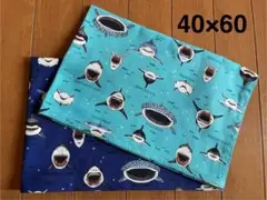 シャークパラダイス★単品ランチョンマット２枚セット40×60★給食ナフキン