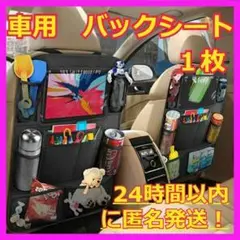 Item thumbnail for item cf0b801c-19a7-4268-bf40-e5251a165987