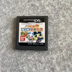 ピチピチおみせっち Nintendo DS ソフト