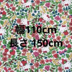 LIBERTY × HELLO KITTY 帆布