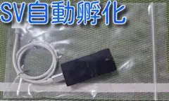 Item thumbnail for item f948548e-1cf8-472e-85be-51a0309724b6
