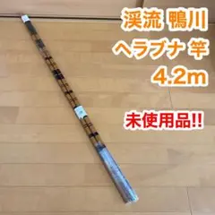 2025年最新】竿 鴨川の人気アイテム - メルカリ