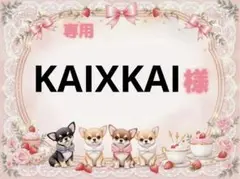 専用
