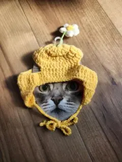 即購入不可×　猫用　帽子