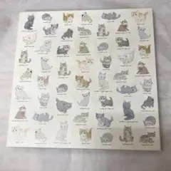 フランシュリッペ アートボックス BOX