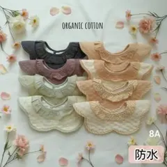 Item thumbnail for item e34b8c57-c4a3-4625-8087-73ecd93fa2b9