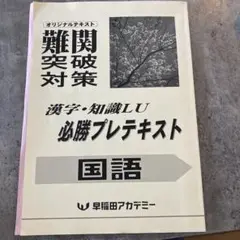難関突破対策 国語テキスト 早稲田アカデミー