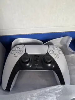 Item thumbnail for item 270878e7-2b26-407b-904a-cf14eb898f34