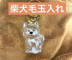 Item thumbnail for item 050fd259-df0f-46b2-9a52-8062ec9f7345