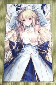 FGO　月姫　スリーブ＆プレイマット　アルクェイド　クラスター　未開封 FGO 月姫 スリーブ＆プレイマット アルクェイド クラスター 未