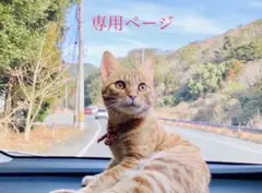 じゅんじゅん様　専用