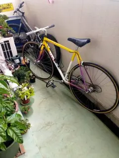 Peloton プロトン 競輪 自転車 (完成車)