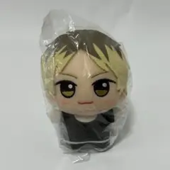 映画 ギヴン 柊mix ちびぐるみ ぬいぐるみ マスコット 鹿島 柊 a
