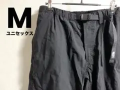 Item thumbnail for item d7f35b09-8fe9-4be2-a001-5c382744a57f
