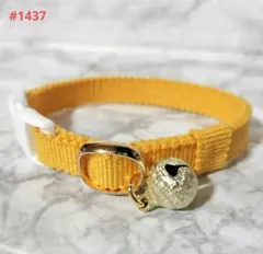 Item thumbnail for item be747591-92d6-4817-8174-152fef2822aa