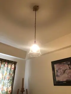 昭和レトロアンティークガラスランプシェード二つのみです
