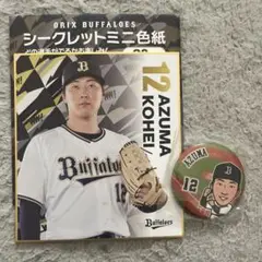 東晃平 ミニ色紙 缶バッジ 開幕