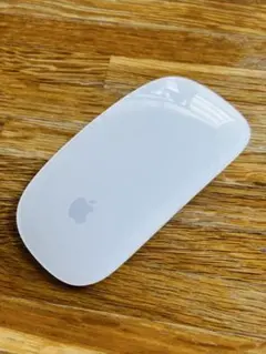 Apple Magic Mouse A1296 マウス 純正