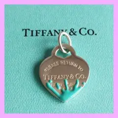 ★Tiffany&Co.　ハートスプラッシュ　ペンダントトップ/チャーム ☆Tiffany&Co. ハートスプラッシュ ペンダントトップ/チャーム