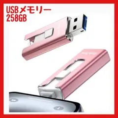 【超美品】usbメモリ 258GB iPhone対応 データ保存 スマホ写真保存