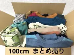 男の子　100cm 上下洋服　まとめ売り　古着