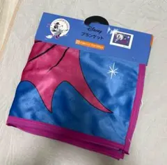 Disney ブランケット　ミニー ひざ掛けサイズ 70×100cm