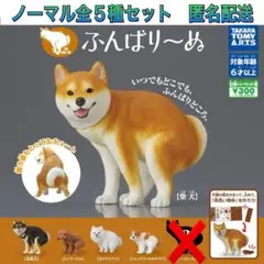 ふんばり〜ぬ ノーマル全5種セット ガチャ ふんばりーぬ