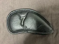 Item thumbnail for item ff49f6fe-137a-486d-a9e5-62b3fddf7b49