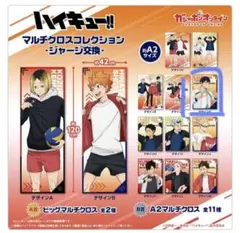 ハイキュー マルチクロスコレクション
