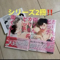 かりそめビッチ南くん　シリーズ2冊　BL