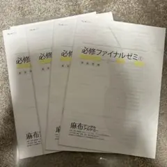 【匿名即日発送】必修ファイナルゼミ 4冊セット