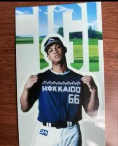 万波中正WE LOVE HOKKAIDO 2025ステッカー日本ハムファイターズ