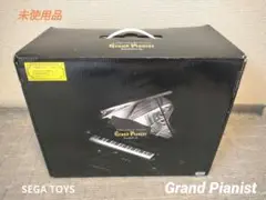 2025年最新】セガトイズ グランドピアニスト プラスの人気