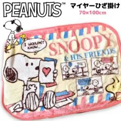 スヌーピー ブランケット ひざ掛け クオーター snoopy PEANUTS ③