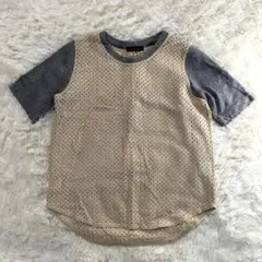 【AMERICAN RAG CIE アメリカンラグシー】　透かし地Tシャツ【F】