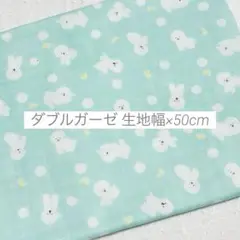生地 はぎれ ダブルガーゼ ビションフリーゼ ミント 50cmコスモテキスタイル