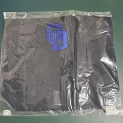 中日ドラゴンズ　ロゴ刺繍トートバッグ　おまとめ10％引