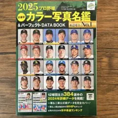 プロ野球全選手カラー写真名鑑&パーフェクトDATA BOOK 2025