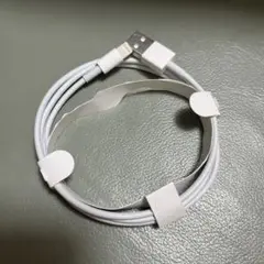iPhone iPad 純正イヤホン付属品　ライトニングケーブル1m