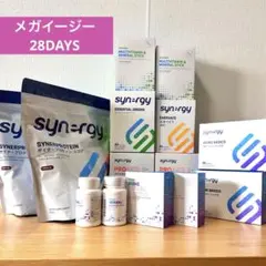 2025年最新】シナジーワールドワイド メガの人気アイテム - メルカリ