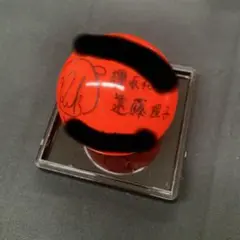 Item thumbnail for item 68572e98-b46f-40ea-9cae-b46d543ec745