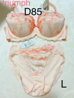 定価11000 トリンプ プレミアム レーベル D85 ブラジャー ショーツ L