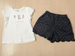 エニファム　120 　ブランシェス140