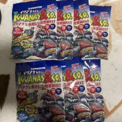 カレーライス様専用✴︎ディアゴスティーニ イグアナアンドコー