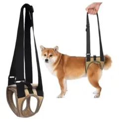 Item thumbnail for item af54cbf3-27ee-4199-9f4d-25e84b8b0b15