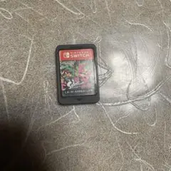 スプラトゥーン2 Nintendo Switch ソフト パッケージ無し