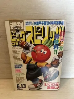 週刊ビッグコミックスピリッツ 1994年6月13日号