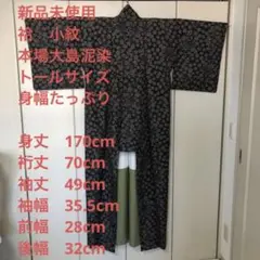 【未使用トールサイズ】本場大島 証紙有 小紋 袷 裄丈70 身丈170 TL