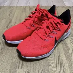 Nike Pegasus36ブライトクリムゾン25.0